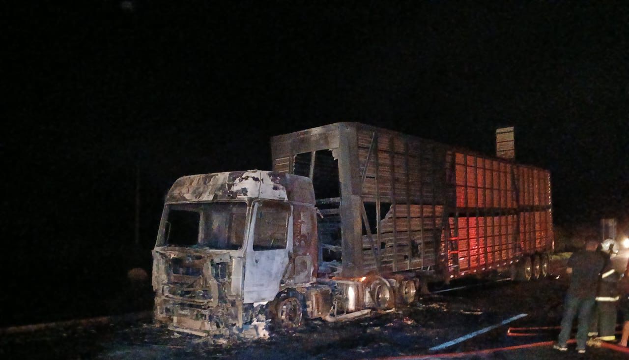 Carreta pega fogo e motorista solta carga de gado na BR-040